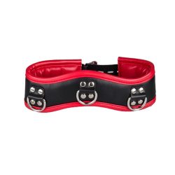 Bondara Black and Red Faux Leather Posture Collar